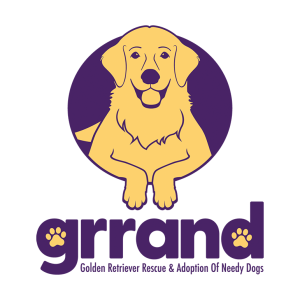 Grrand Staging